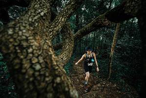 BIB: 
                            <button type="button" onclick="openModal(25695885)" class="btn btn-primary btn-sm float-right btn-popup" data-toggle="modal" data-target=".modal-high-quality">
                        <i class="fas fa-shopping-cart"></i> Add to Cart
                    </button>
                                            <button type="button" onclick="isThisMe(25695885, true)" class="btn btn-success btn-sm float-right btn-popup btn-isme hidden" data-toggle="tooltip" data-placement="bottom" title="นี่คือรูปของคุณใช่ไหม คลิกที่นี่เพื่อเอาเข้าอัลบั้ม">
                        <i class="fas fa-plus"></i> Add to album
                    </button>
                    <button type="button" onclick="isThisMe(25695885, false)" class="btn btn-warning btn-sm float-right btn-popup btn-isnotme hidden">
                        <i class="fas fa-ban"></i> Remove from album
                    </button>